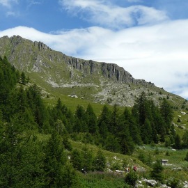 P1080592