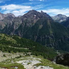 P1080606_1