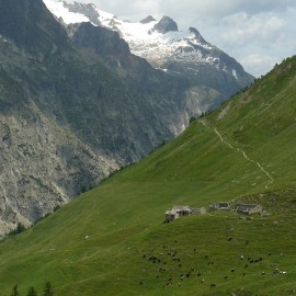 P1080036