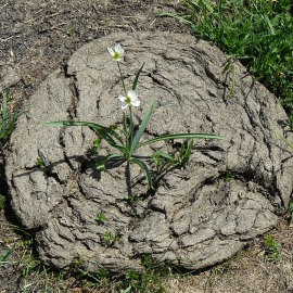 P1080043