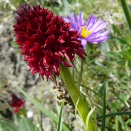 P1080055