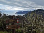 2019-04-07 Cinque Terre Sentiero dei Santuari