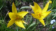 2019-06-29_30 SIEL Trekking Val di Ayas