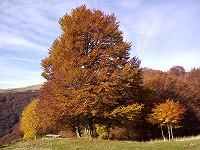 Monte Garzirola 2020